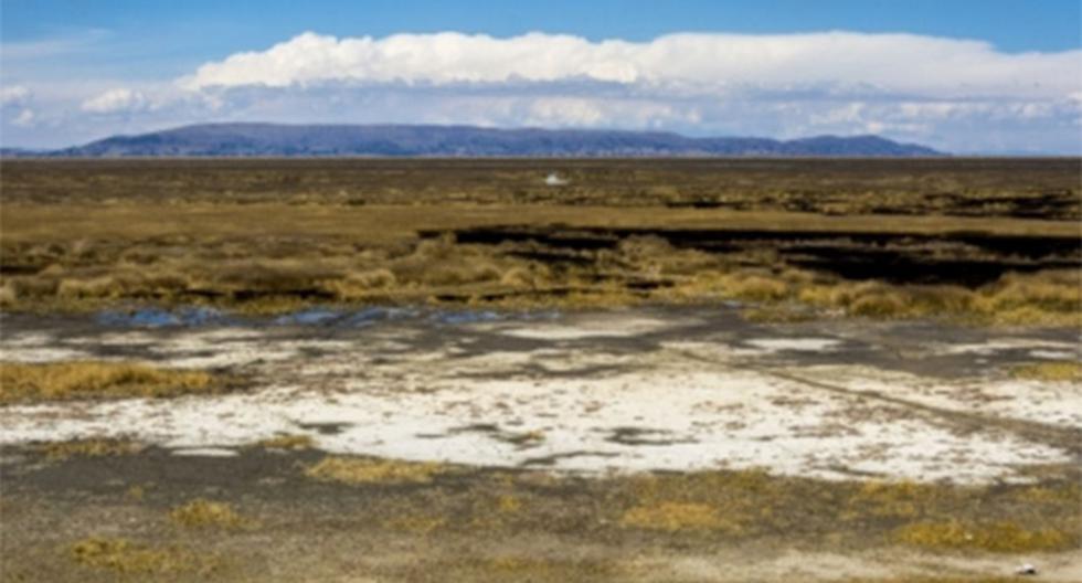 Noviembre ha sido catalogado como el mes \"más seco\" de los últimos 30 años, reveló el Senamhi. (Foto: Agencia Andina)