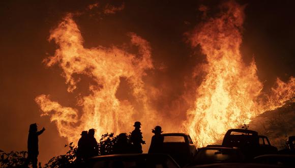 Comuna de Ránquil: qué se sabe de la alerta roja declarada por incendio forestal | ¿Qué es lo que se sabe hasta el momento? En esta nota te contamos todo lo que debes saber al respecto sobre este tema importante. (EFE/ Adriana Thomas).