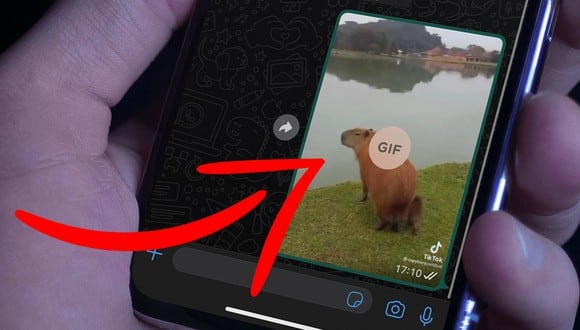 ¿Quieres convertir tus videos en GIF usando WhatsApp? Así lo puedes lograr de manera sencilla. (Foto: MAG - Rommel Yupanqui)