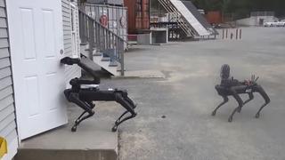 Policía en Estados Unidos comenzó a usar perros robots | VIDEO