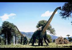 'Dinosaurio-dragón' de leyendas chinas fue descubierto