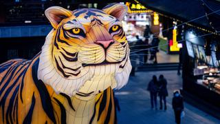 Año Nuevo Chino: El tigre de agua se prepara para dar el gran salto