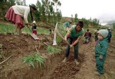 Perú: PBI del sector agrario crecerá 5% al 2021, estima el Minagri