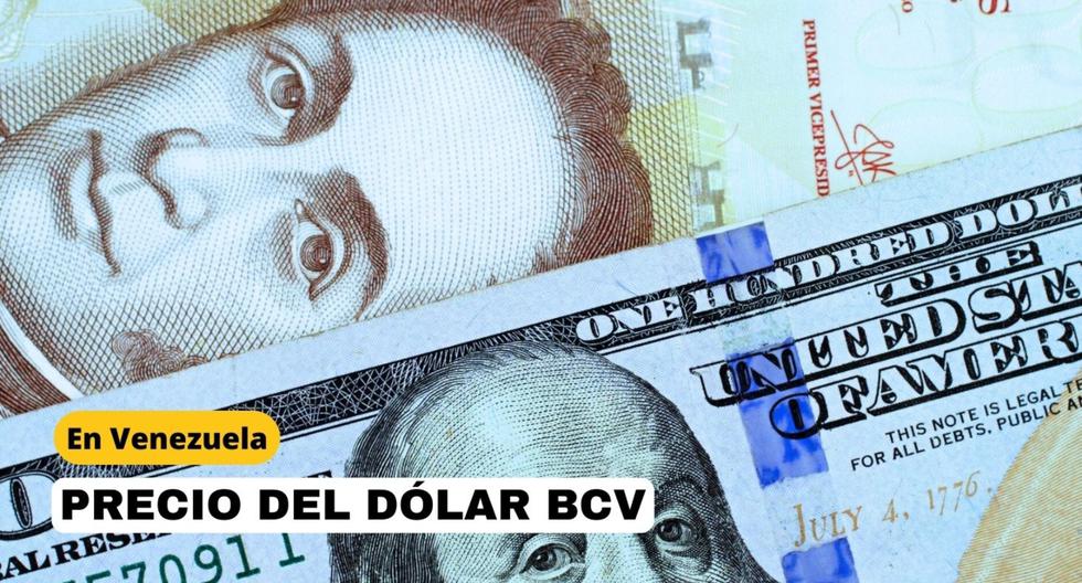 Dólar BCV hoy en Venezuela: Consulta el precio y la tasa oficial según el Banco Central
