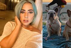 Lady Gaga dará “con mucho gusto” recompensa de US$500.000 a mujer que encontró a sus perros