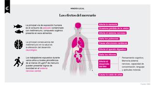 Infografía del día: minería ilegal y los efectos del mercurio