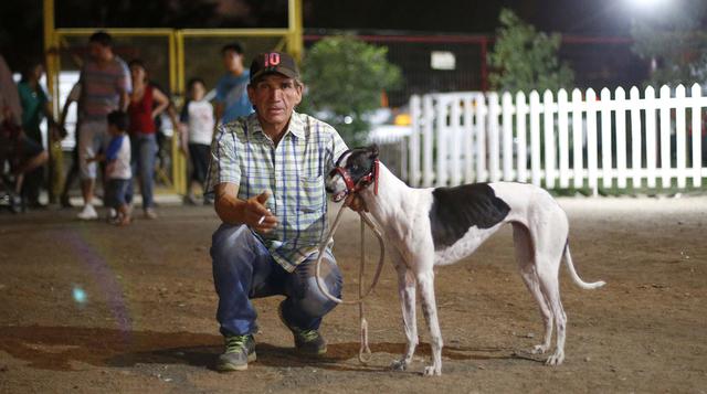Espectacular carrera de perros galgos es tradición en Chile - 3