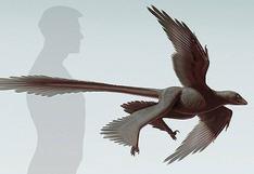 El dinosaurio de cuatro alas más grande fue descubierto en China