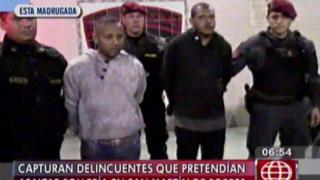 Hampones que iban a asaltar pollería Roky's fueron capturados