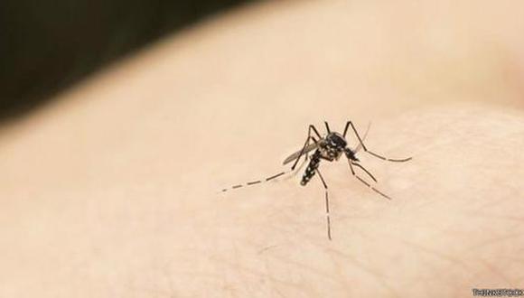 ¿Cómo identifican a sus víctimas los mosquitos?