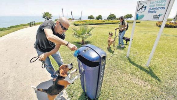 Casi nunca cobran multas por excretas de perros en vía pública