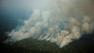 Brasil: Militares detuvieron a 63 personas en un mes por incendios en la Amazonía