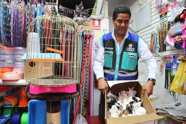 Durante una operación en el Mercado Central, la Municipalidad de Lima rescató a un perro, 56 conejos y 58 hámsters. (Foto: MML)