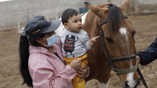 Terapia con caballos: centro de equinoterapia Hambhar