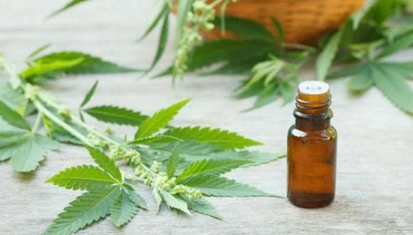 La ley promulgada por el Gobierno garantiza el derecho a la salud de pacientes que utilizan aceite y pomadas de cannabis y sus derivados, regulando además su investigación, importación y comercialización.