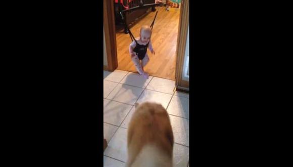 Facebook: perro que salta frente a bebe éxito en YouTube