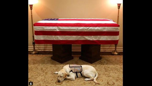 George H. W. Bush | La conmovedora imagen del perro Sully, el acompañante del ex presidente de Estados Unidos. (Instagram)