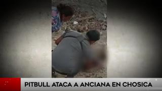 Chaclacayo: mujer fue sometida a cirugía en la cabeza tras ser ataca por un perro pitbull | VIDEO