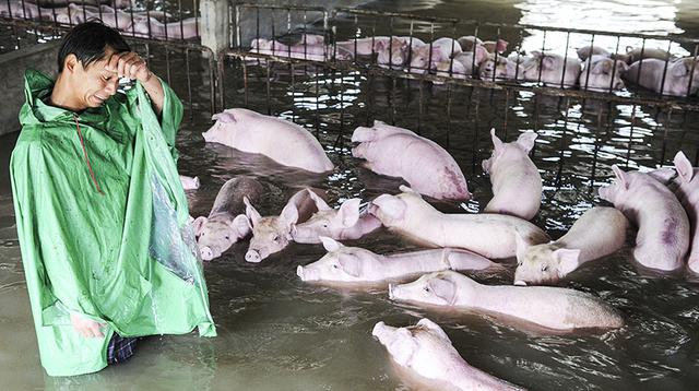 China: Impresionantes imágenes de las fuertes inundaciones - 2