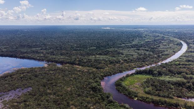 La Amazonía peruana resiste la presión de actividades ilegales que causan deforestación. Foto: Sebastián Castañeda/Mongabay Latam.