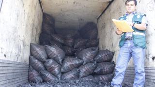 Más de 500 toneladas de carbón ilegal fueron decomisados