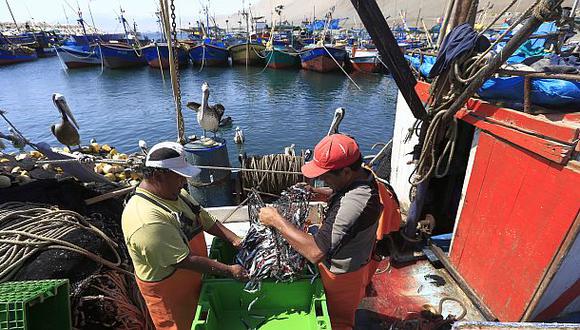 Industriales podrán pescar anchoveta desde la milla 5 en el sur