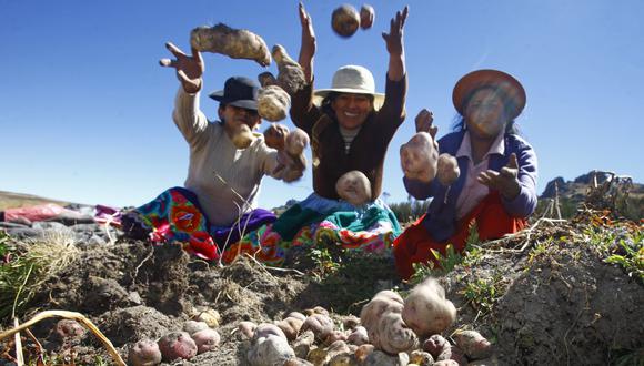 Para celebrar el Día del campesino, el Gobierno ha decretado día laborable el 24 de junio. (Foto: Andina)