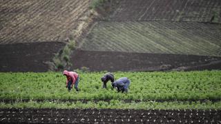 Minagri transfiere S/9,8 millones a Sunarp para titulación y registro de tierras rurales