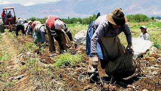 La sequía y su impacto en la agricultura y la seguridad alimentaria