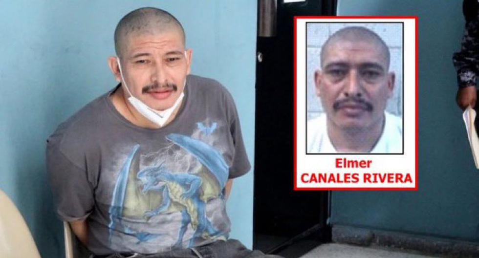 Elmer Canales Rivera, alias el Crook de Hollywood, cabecilla de la Mara Salvatrucha MS-13 que será juzgado por terrorismo en Estados Unidos.