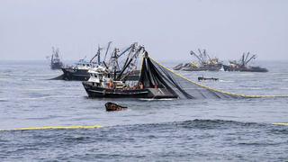 Scotiabank: Pesca de anchoveta en el 2017 sería la mejor en cuatro años