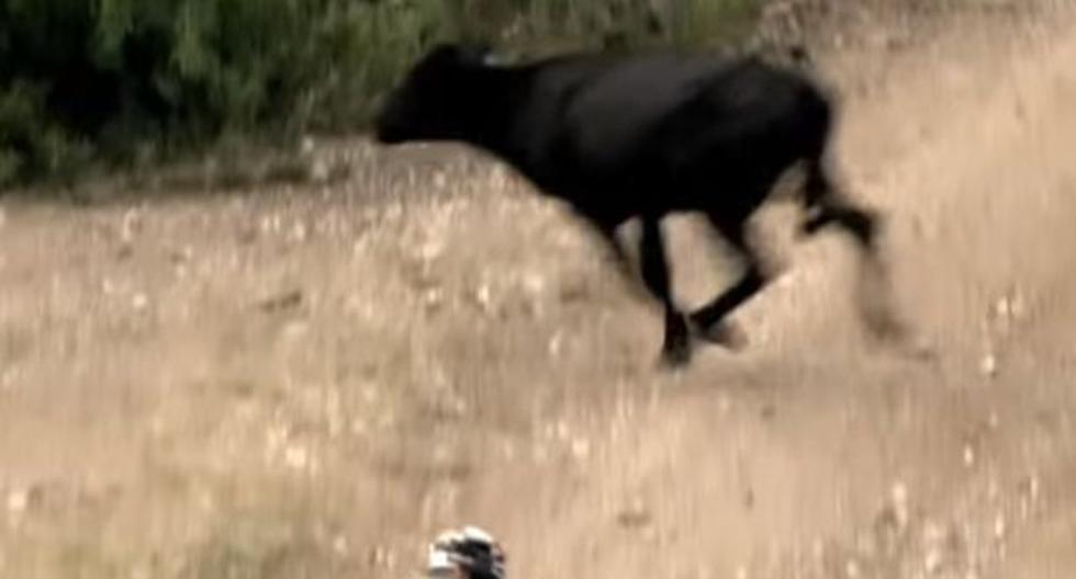 Helder Rodrígues frenó con su moto para no impactar a la vaca que se cruzó en el Rally Dakar. (Foto: Captura YouTube)