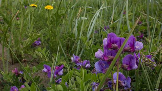 ¿Cómo se creó el aire que respiramos? - 4