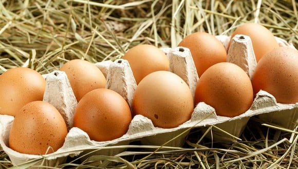 ¿Cómo detectar daños en un huevo haciendo uso de tu teléfono celular? (Foto: Ovicultura)