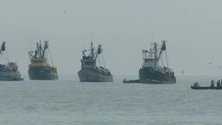 Produce suspende pesca exploratoria de anchoveta por declaratoria de emergencia