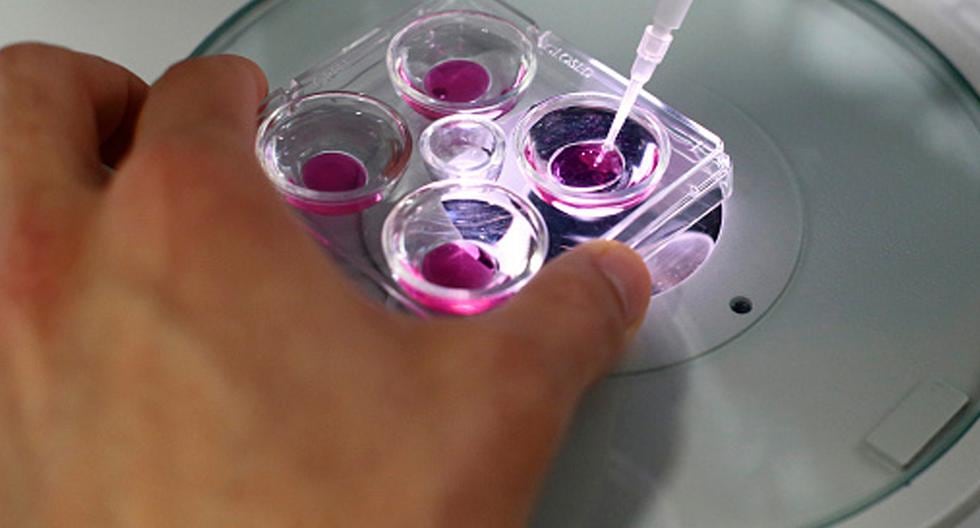 Se espera que uno de los focos de la investigación está en la posibilidad de crear úteros artificiales. (Foto: Getty Images)