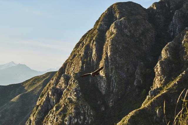 (Foto: Sara María Rodríguez)