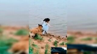 Perro salva a una niña que estaba a punto de caer a un río