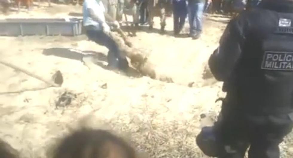 Habían encontrado un cuerpo enterrado en Brasil y la Policía Militar llevó a un especialista para estudiarlo. Pero no estaba en las mejores condiciones.(Foto: YouTube)
