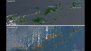NASA: El Huracán Irma se llevó el color verde de las islas [FOTOS]