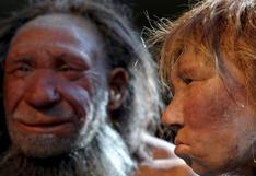 Los neandertales ya tomaban 'aspirinas' y antibióticos naturales