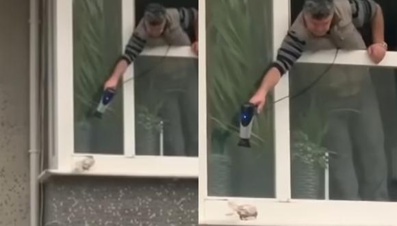 Este hombre salió por su ventana para calentar a un a paloma que estaba muriendo de frio por la lluvia (Foto: TV100)