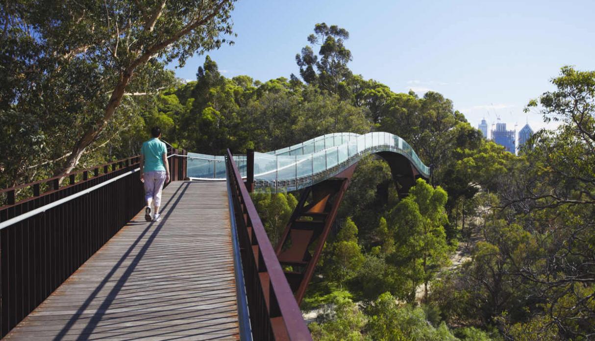 Kings Park, Perth (Australia). Más de 6 millones de visitantes llegan cada año a pasear por sus sinuosos caminos, en un área de 400 hectáreas. Conoce el Jardín Botánico Western Australian, donde podrás apreciar 319 especies de plantas, así como cerca de 80 especies de aves. (Foto: Shutterstock)