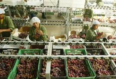 Agroexportaciones peruanas mostraron crecimiento de 8,7% en primer trimestre del año