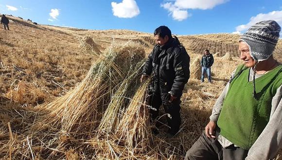 Agro Rural informó sobre sus acciones en Ayacucho. (Foto: Midagri)