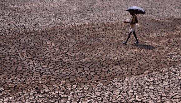 Ola de calor en la India deja 230 muertos en solo un mes