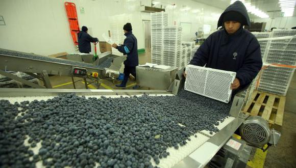 Los reportes indican que este incremento del agro obedeció a un crecimiento de los subsectores. (Foto: GEC)