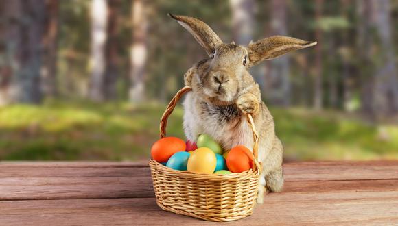 A continuación, te contamos cuál es el significado del conejo de pascua y los huevos de chocolate. (Foto: exploregod)