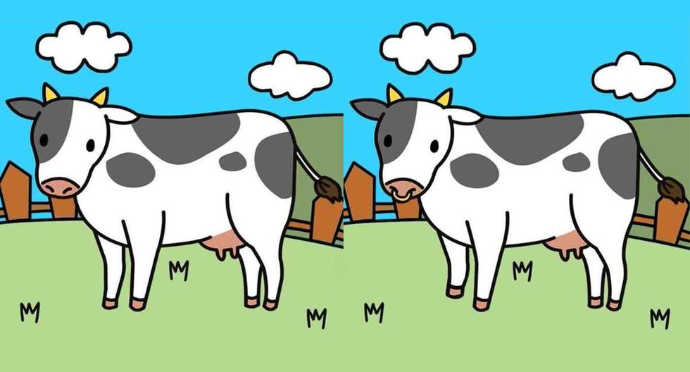 Visual Challenge: Find 5 differences between these cow pictures in 15 seconds |  Viral