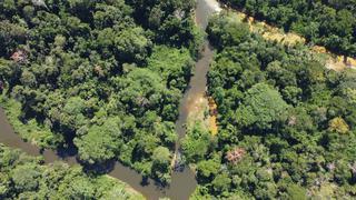 Los desafíos ambientales para el Perú en 2022: reducir la deforestación de la Amazonía, proteger a los defensores ambientales y mirar el mar y los ríos